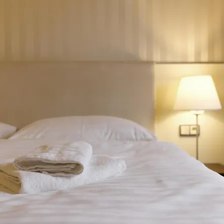 Pilsner - U Borskeho Parku Daire Plzeň